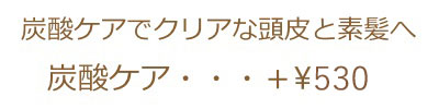 炭酸ケアでクリアな頭皮と素髪へ￥515